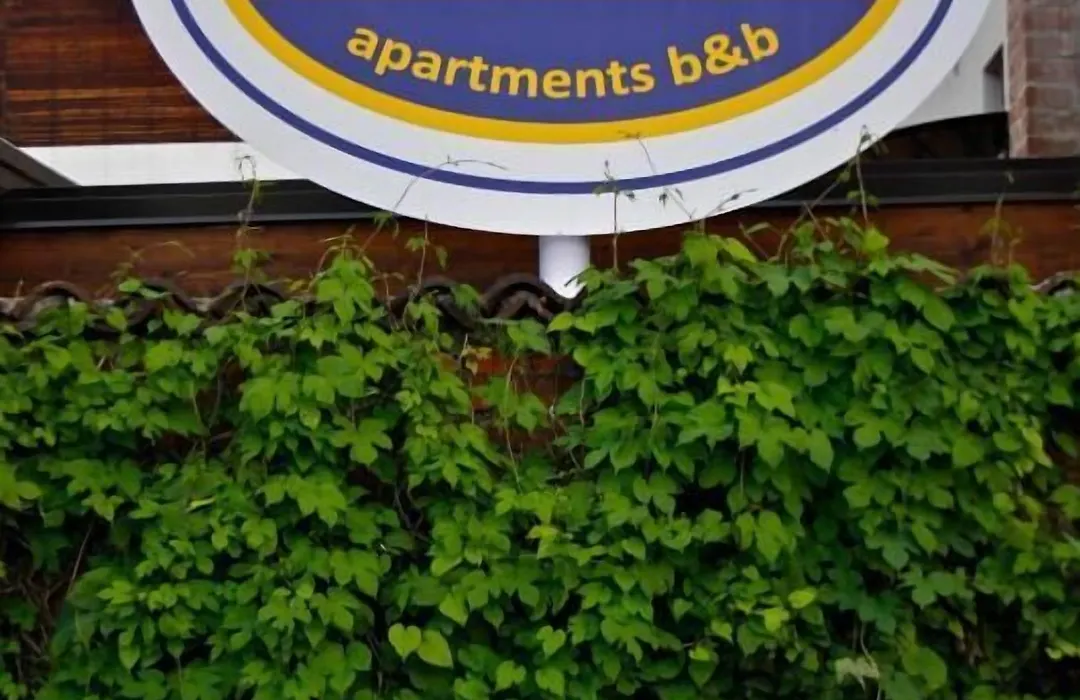 B&B Leonardo-1